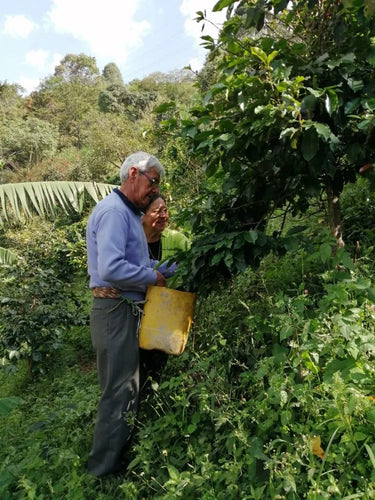 From Colombian Peaks to British Brews: Growing up on a coffee farm and setting up a UK speciality coffee roasters