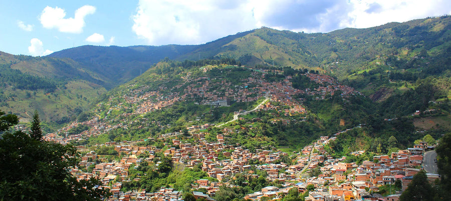 Espresso - La Familia, Colombia - Strawberry sherbet - White chocolate - Almonds