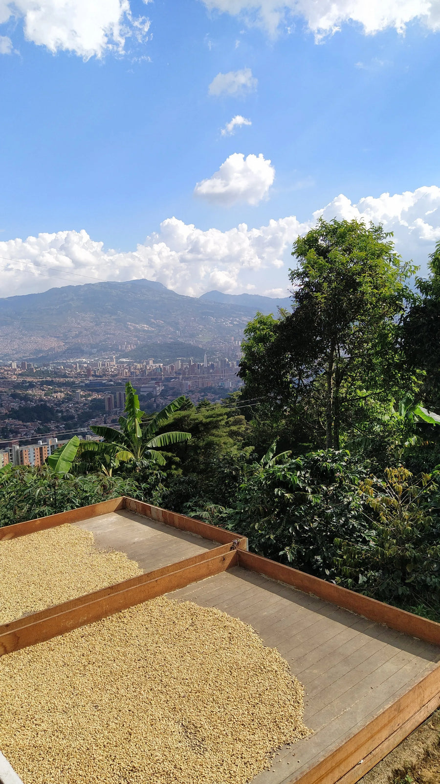 Espresso - La Familia, Colombia - Strawberry sherbet - White chocolate - Almonds