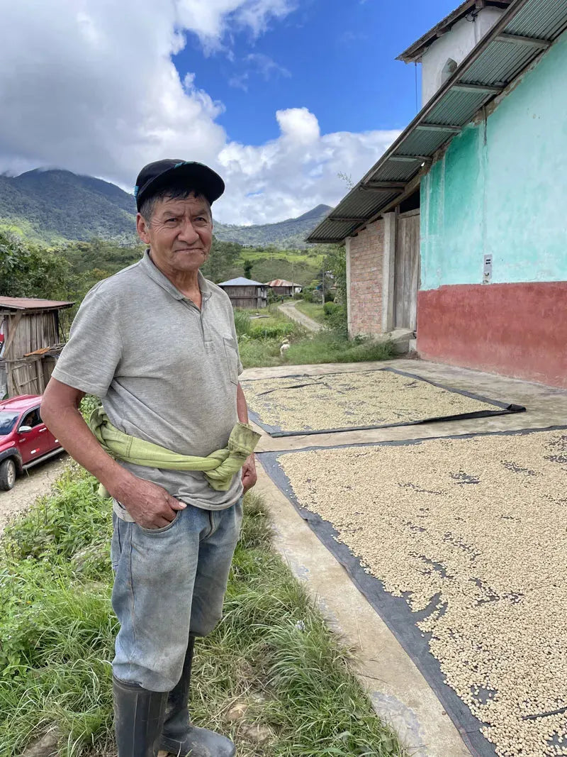 Filter - Huabal, Peru - Red Plum- Honey - Milk Chocolate