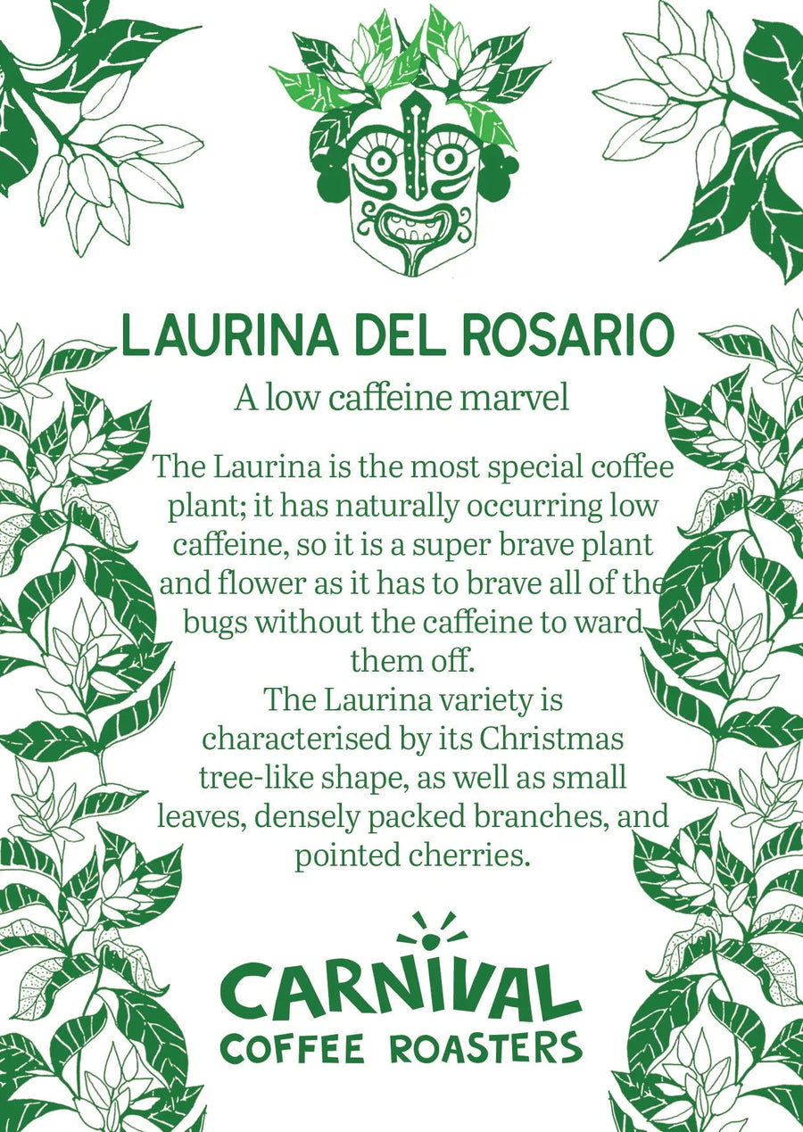 Filter / espresso - Laurina - Colombia - Watermelon, Honeysuckle, Maple Syrup