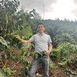 Load image into Gallery viewer, Filter - Finca Morales, Peru - Lychees - Blueberry - Jasmine