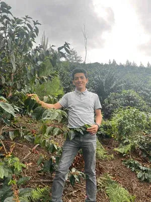 Filter - Finca Morales, Peru - Lychees - Blueberry - Jasmine