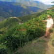Load image into Gallery viewer, Espresso - Black Condor, Colombia - Caramel - Blackcurrant - Chocolate
