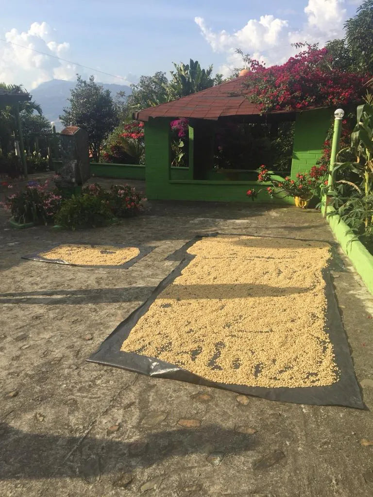 Espresso - La Familia, Colombia - Strawberry sherbet - White chocolate - Almonds